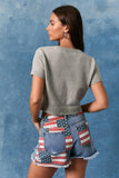 "DOG WITH FLAG" GRAPHIC SHORT SLEEVE CREW NECK SWEATER TOP