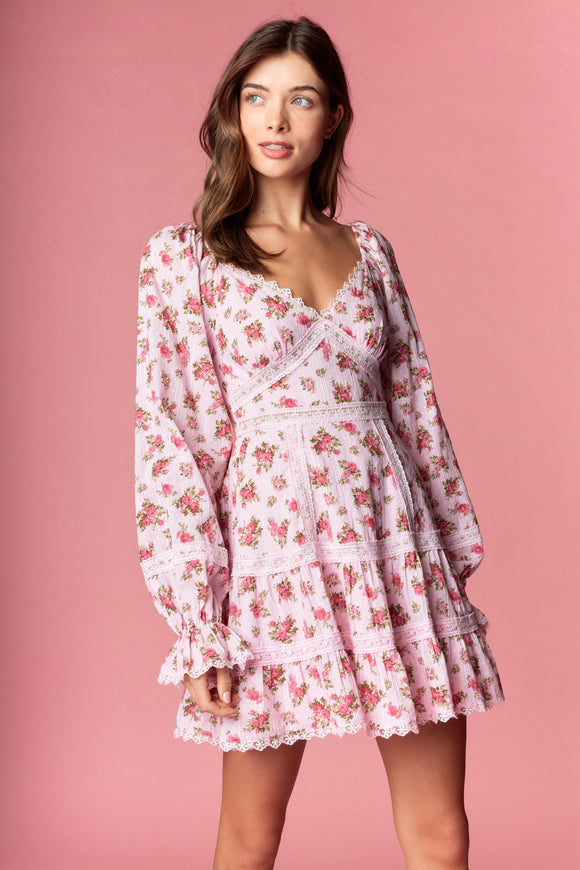 Vintage Rose Lace Trimmed Smocked Mini Dress